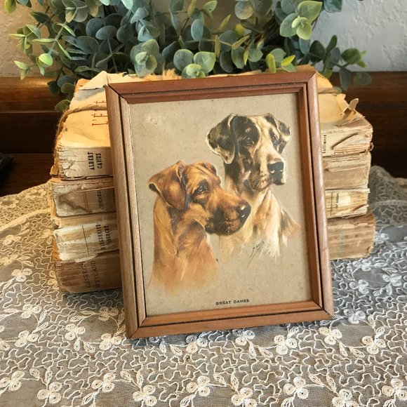 vintage 1950's Great Dane embossed picture